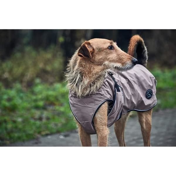 Hunter Uppsala Hundkappa - 62960
