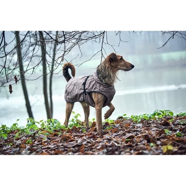 Hunter Uppsala Hundkappa - 62960