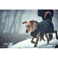Miniatyrbild 4 av 4: Hunter Uppsala Softshell Coat, - 62950