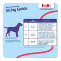 Miniatyrbild 7 av 10: Hundsele Company of Animals Halti Storlek S (26-36 cm)