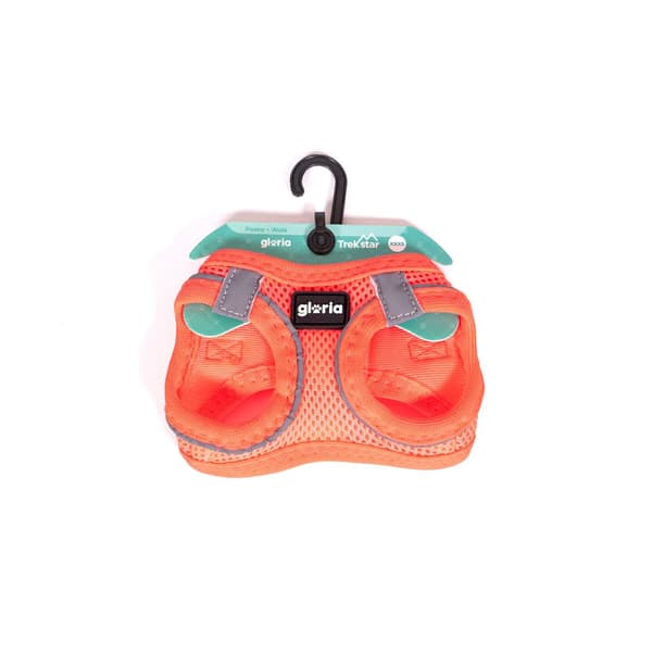 Hundsele Gloria Trek Star 27-28 cm 31-34,6 cm Orange XS