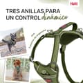 Miniatyrbild 3 av 6: Hundsele Company of Animals Grön M 35-55 cm