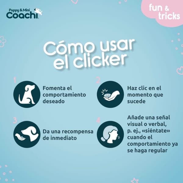 Hundesele Coachi