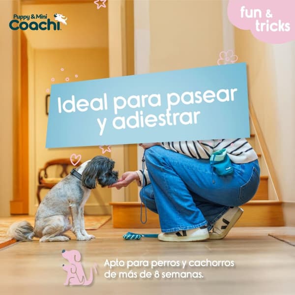 Hundesele Coachi