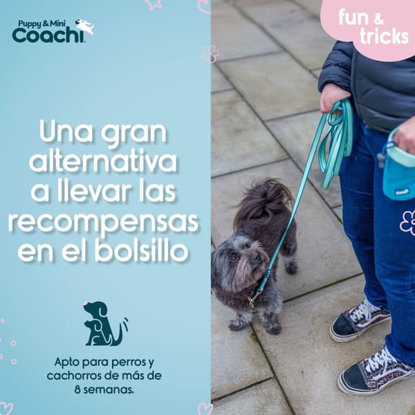 Hundesele Coachi