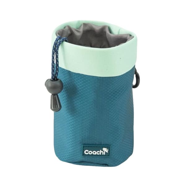 Hundesele Coachi