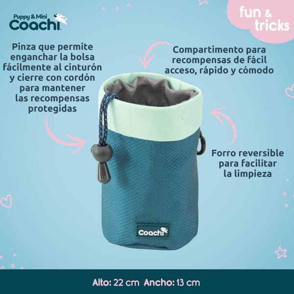 Hundesele Coachi