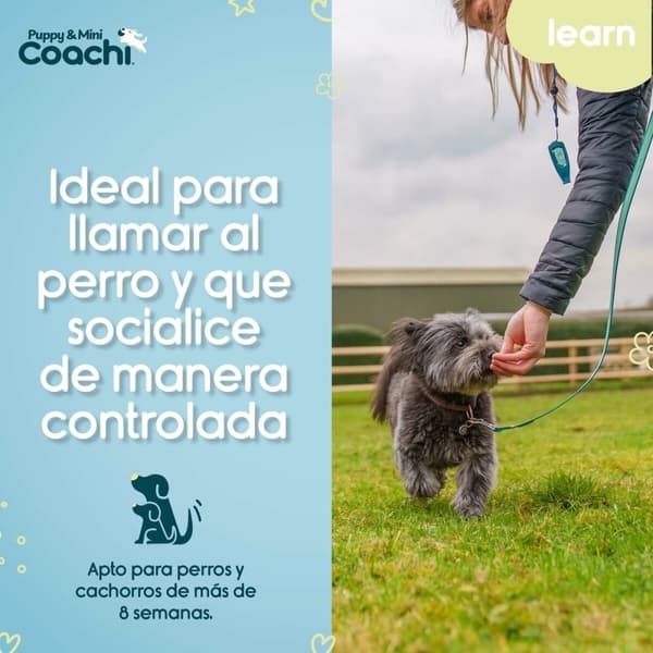 Hundesele Coachi