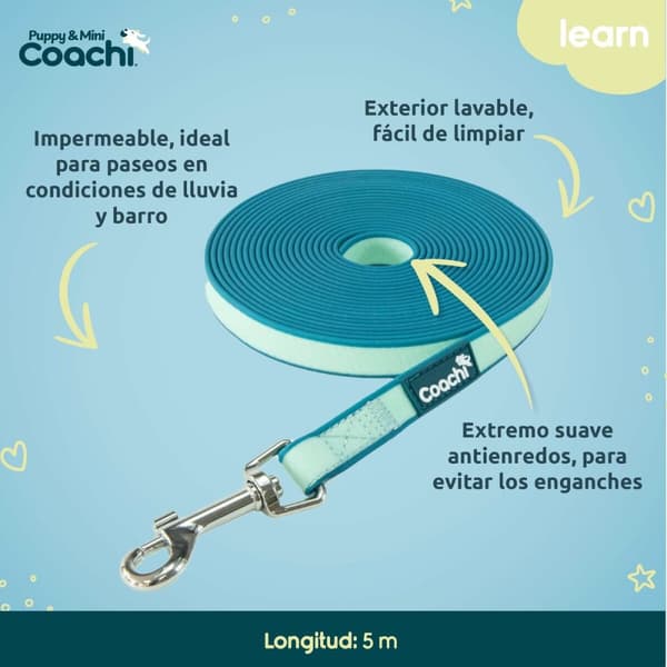 Hundesele Coachi