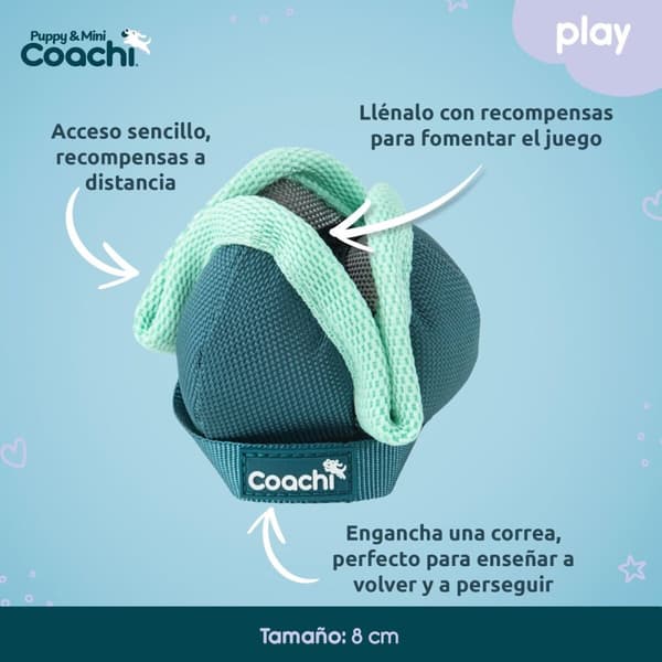 Koiran valjaat Coachi