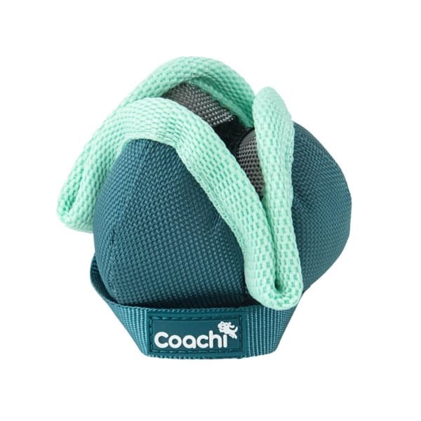 Koiran valjaat Coachi