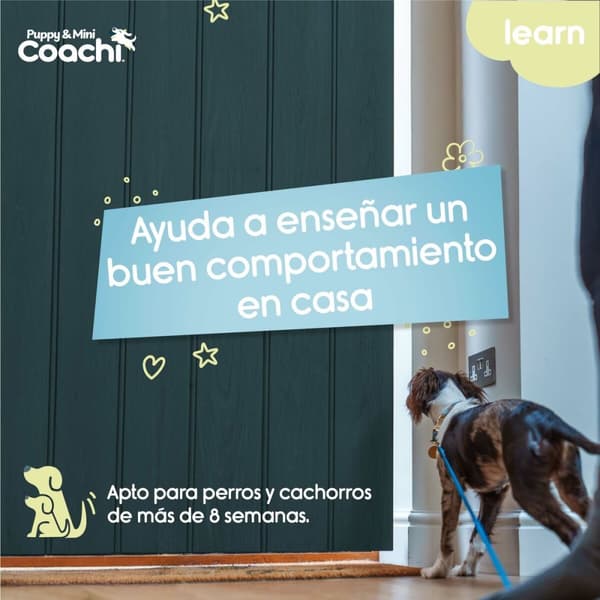 Hundsele Coachi