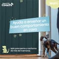 Miniatyrbild 3 av 5: Hundsele Coachi