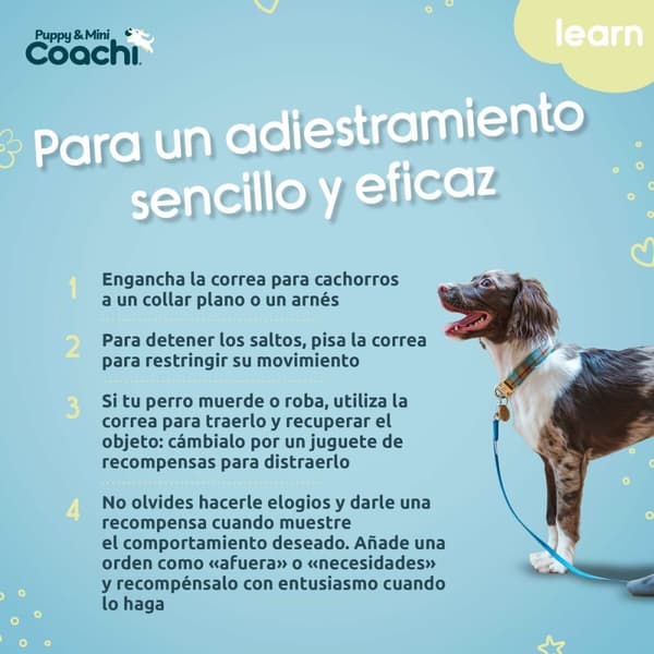 Hundsele Coachi