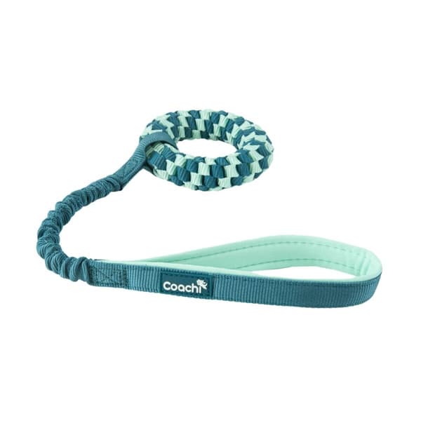 Hundsele Coachi
