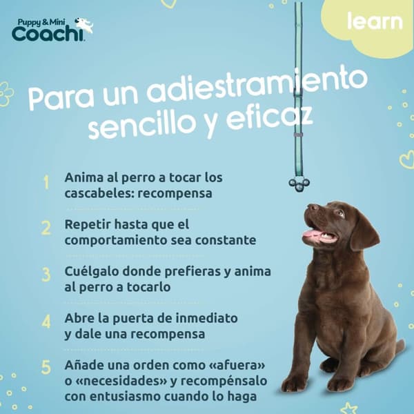 Hundsele Coachi