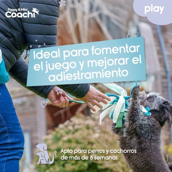 Hundsele Coachi