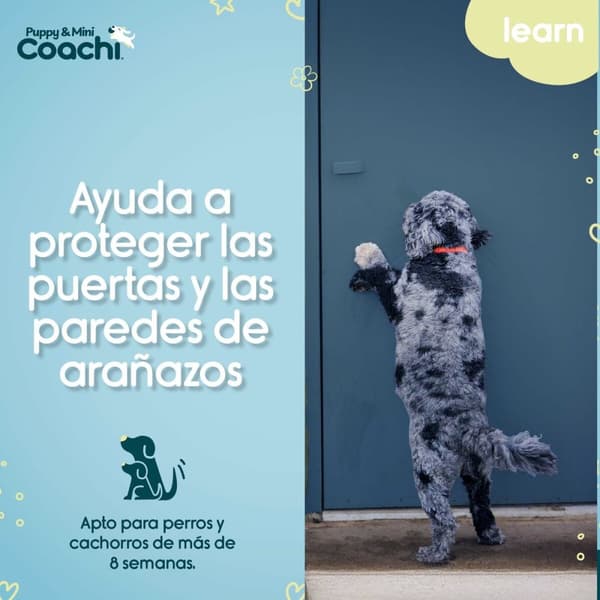 Koiran valjaat Coachi