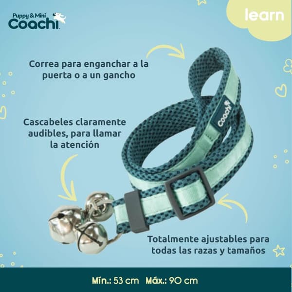 Koiran valjaat Coachi