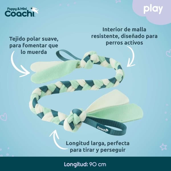 Koiran valjaat Coachi