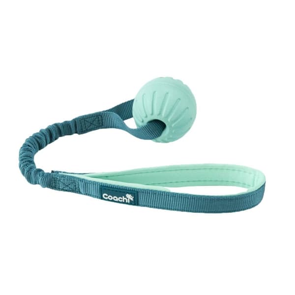 Hundesele Coachi