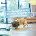 Miniatyrbillede 1 af 5: Hundesele Coachi