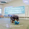 Miniatyrbillede 4 af 5: Hundesele Coachi
