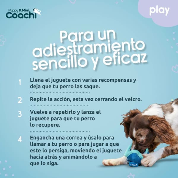 Hundesele Coachi