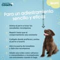 Miniatyrbilde 5 av 5: Hundesele Coachi