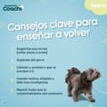 Miniatyrbilde 5 av 5: Hundesele Coachi