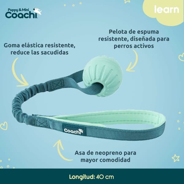 Koiran valjaat Coachi