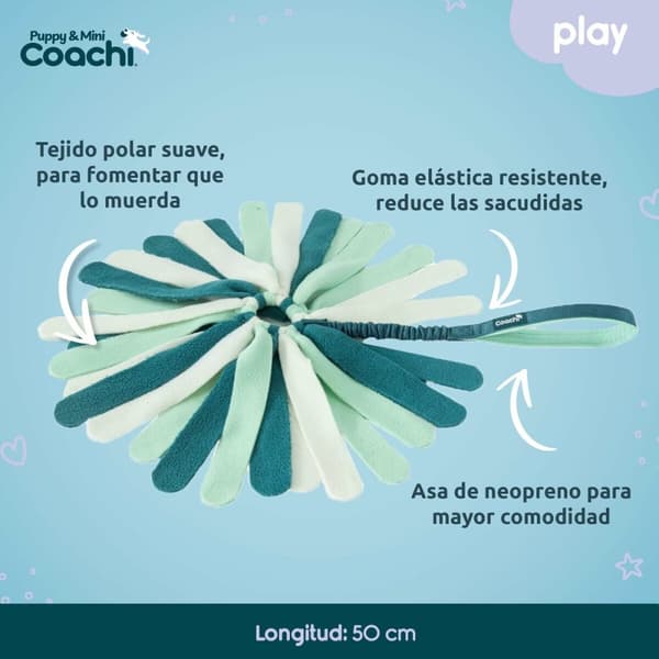 Koiran valjaat Coachi