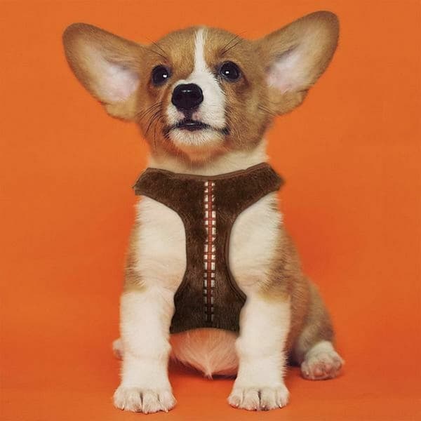 Hundesele Star Wars Chewbacca Brun M/L