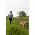 Pikkukuva 6 / 6: Koiran talutushihna Musta XL
