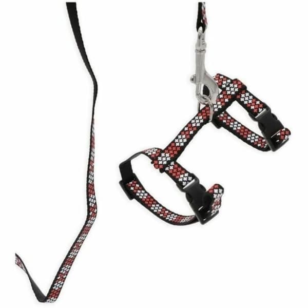 Hundhalsband Aimé