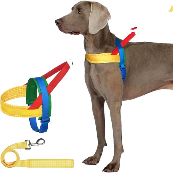 Hundsele, Justerbar Storlek M, Bekväm och Stilig Design,8-29,9 Chroma Gul