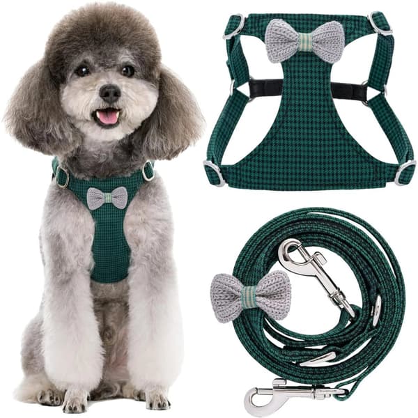Pieni koiran valjaat, säädettävä istuvuus, tyylikäs ruudullinen muotoilu,ted Vihreä XS4.5-11lb