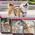 Miniatyrbillede 3 af 6: Lollanda Justerbar Træksele til Hundesele – Sort, Pink, Gul S/M/L
