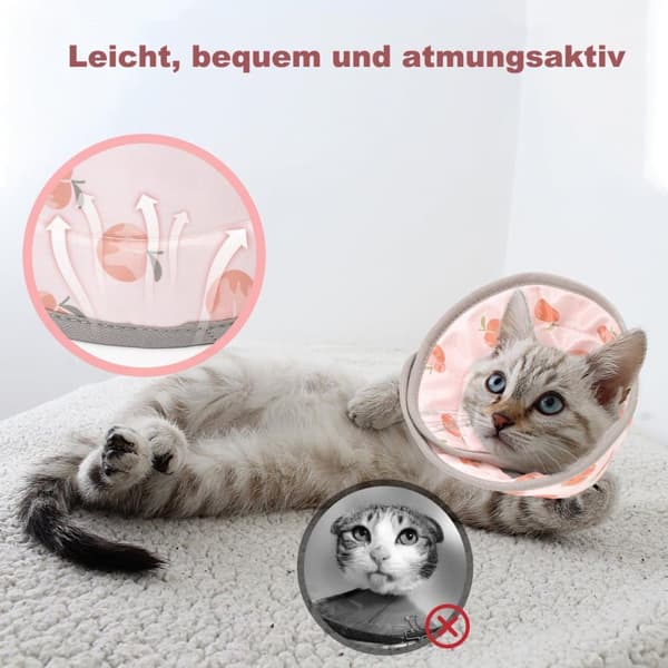 Lollanda Kattens skyddshalsband, mjukt och justerbart för att förhindra slickning av sår