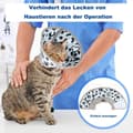 Miniatyrbild 2 av 7: Lollanda Kattens skyddshalsband, mjukt och justerbart för att förhindra slickning av sår
