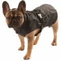 Miniatyrbillede 3 af 6: Hund regnfrakke Kerbl 35 cm Sort S