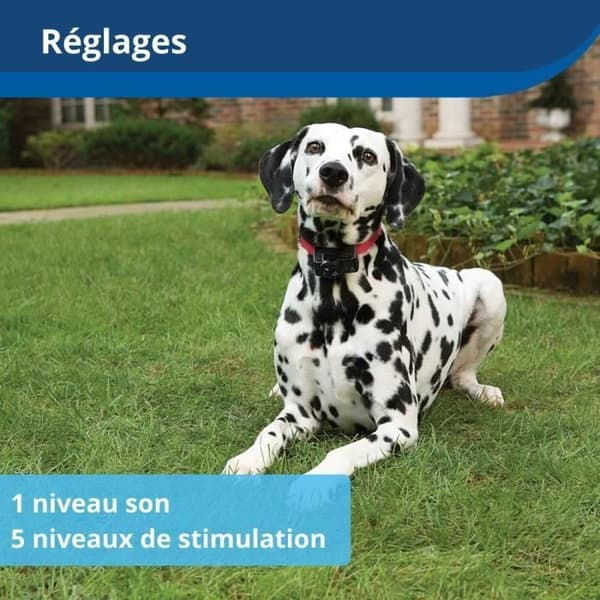 PetSafe trådløs halsbånd til kæledyr, 3,6+ kg