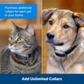 Miniatyrbillede 4 af 6: PETSAFE Mini Barrier Extra Halsbånd - Sort - Til Katte og Hunde