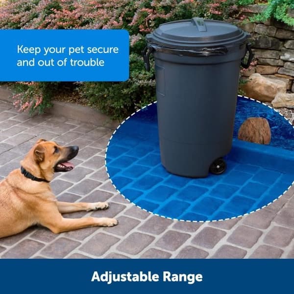 PETSAFE Mini Barrier Extra Halsbånd - Sort - Til Katte og Hunde