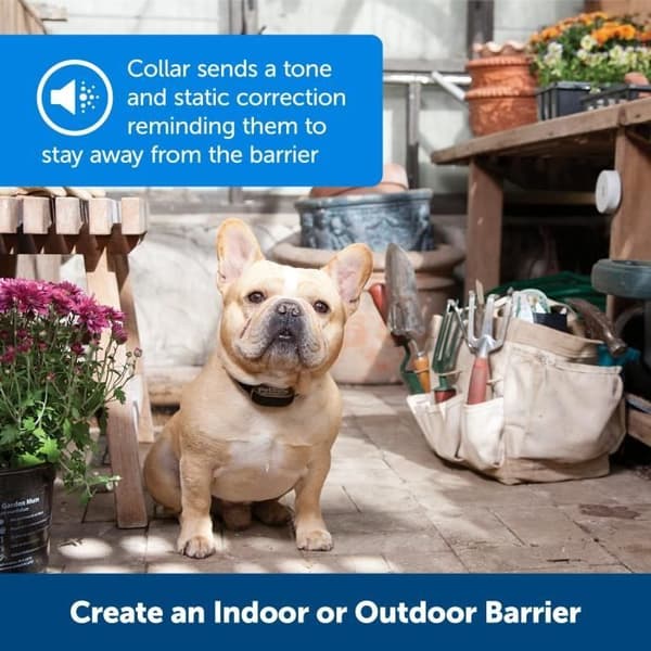 PETSAFE Mini Barrier Extra Halsbånd - Sort - Til Katte og Hunde