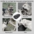 Miniatyrbild 4 av 4: INN Anti-Bark Enhet 300mAH 40khz Ultraljudsrepeller för hundar, portabel träningsapparat med dubbelsensor och LED