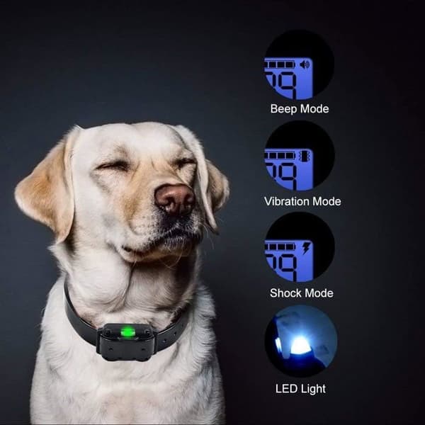 Dressyrhalsband för Hund 800 Meter Antibarkhalsband med Vibrations- och Ljudstimulering Kontrollerad