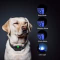 Miniatyrbild 4 av 5: Dressyrhalsband för Hund 800 Meter Antibarkhalsband med Vibrations- och Ljudstimulering Kontrollerad