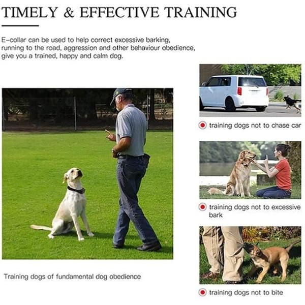Collier Anti-Bark, Vattentåliga Återuppladdningsbara Träningshalsband för Hund, Träningshalsband för Hund med Vibrationsläge