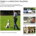 Miniatyrbild 3 av 4: Collier Anti-Bark, Vattentåliga Återuppladdningsbara Träningshalsband för Hund, Träningshalsband för Hund med Vibrationsläge